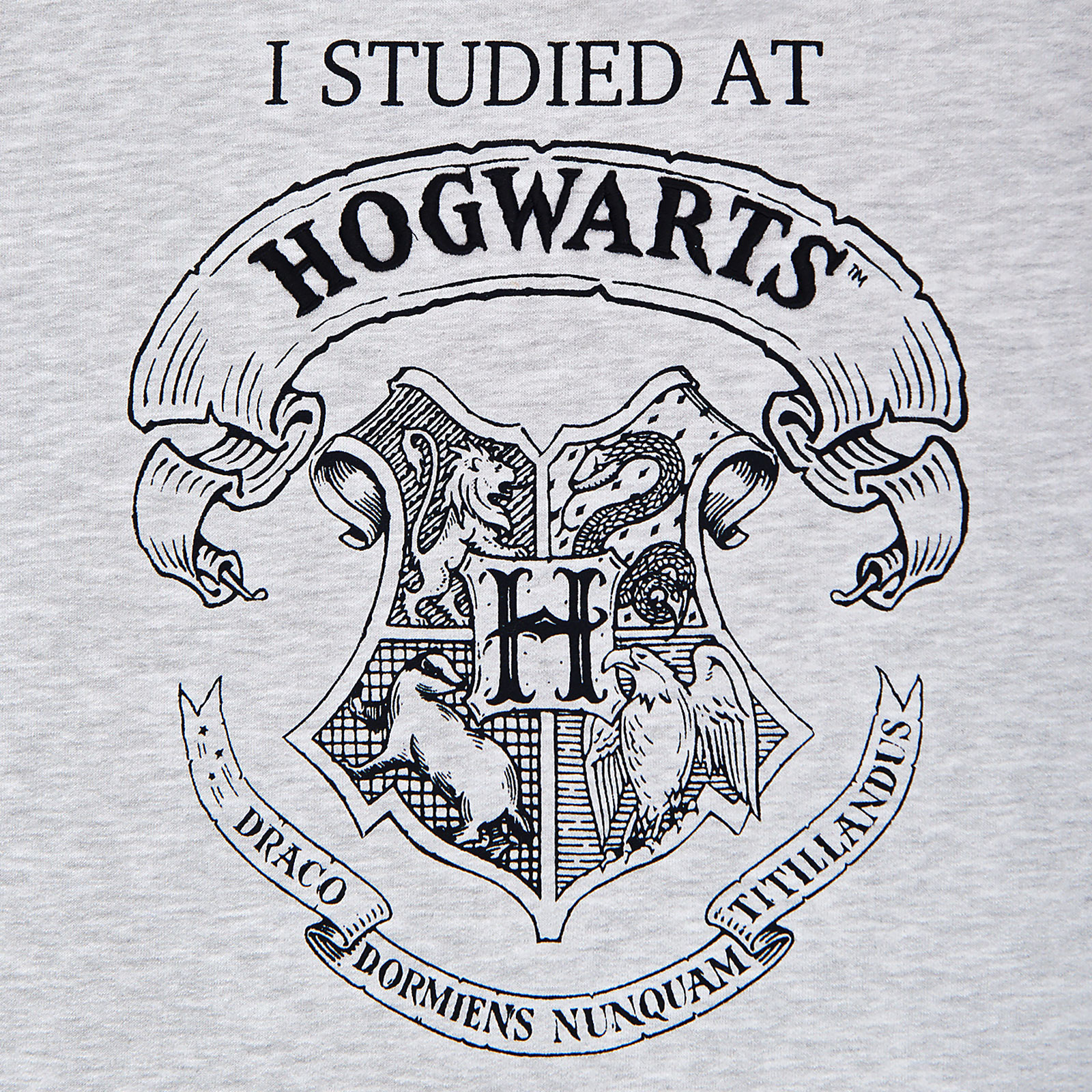 Harry Potter - I Studied at Hogwarts Damen Sweater grau