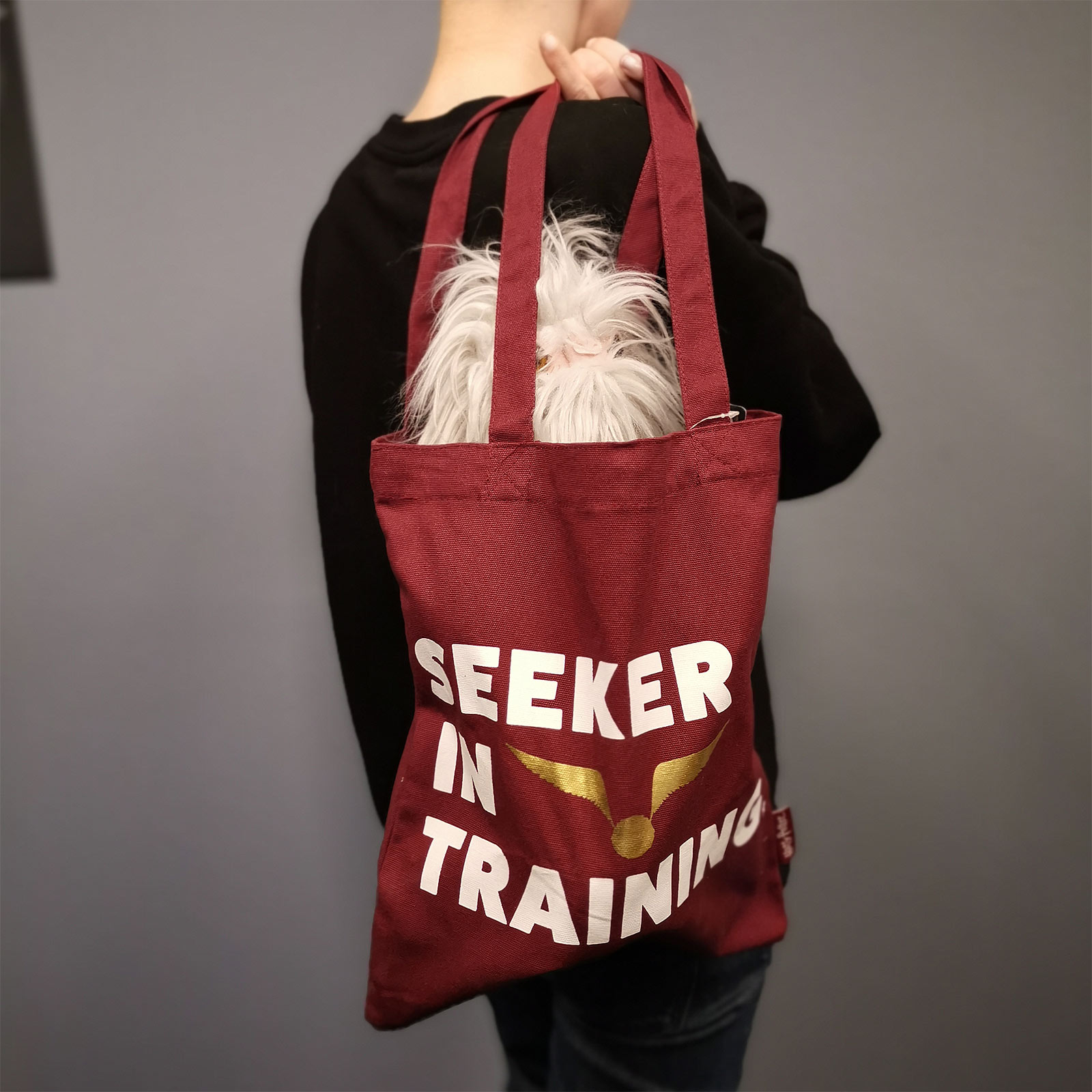 Harry Potter - Seeker in Training Shopper Tas