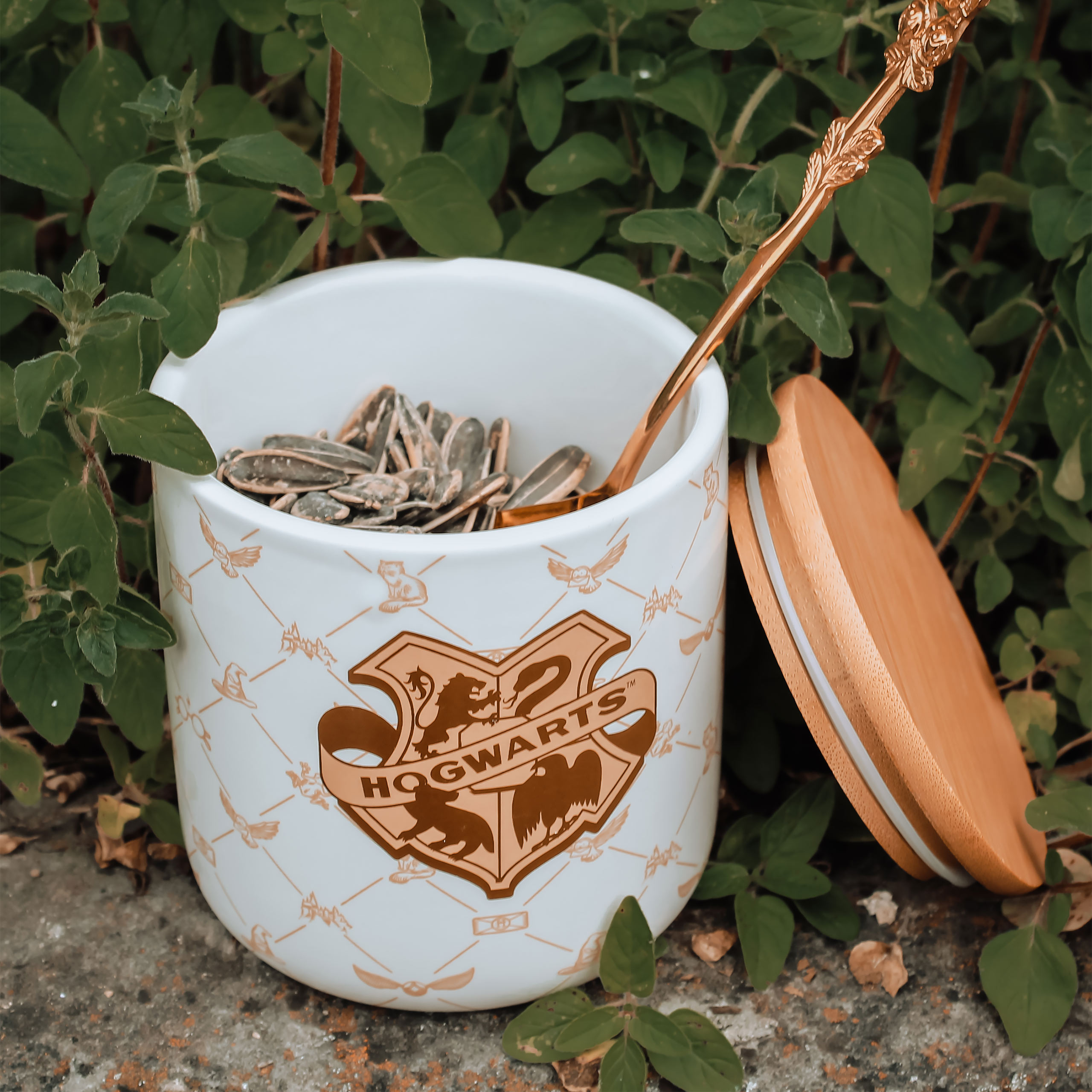 Harry Potter - Bote Hogwarts Colección Serene