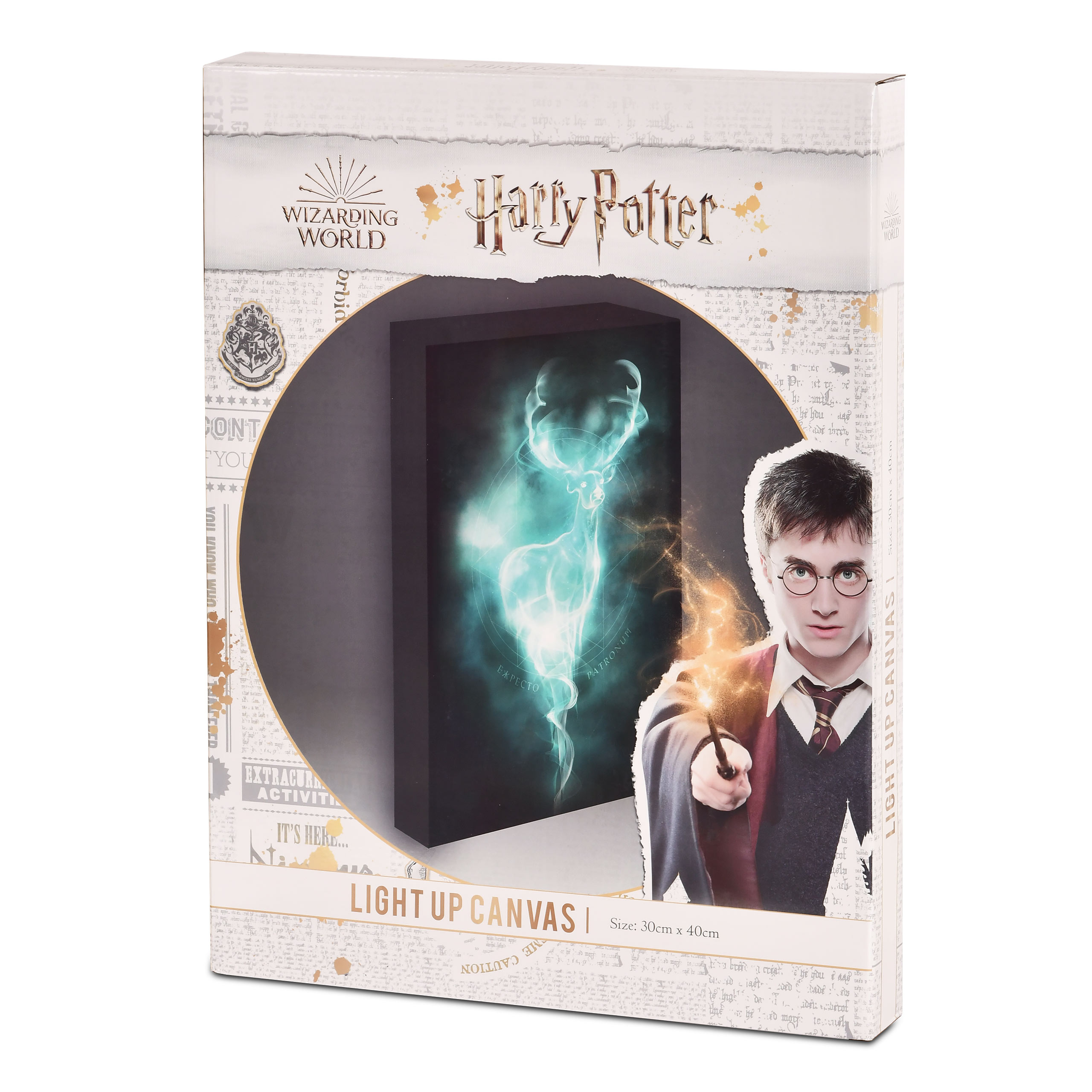 Harry Potter - Patronus Wandbild mit Licht