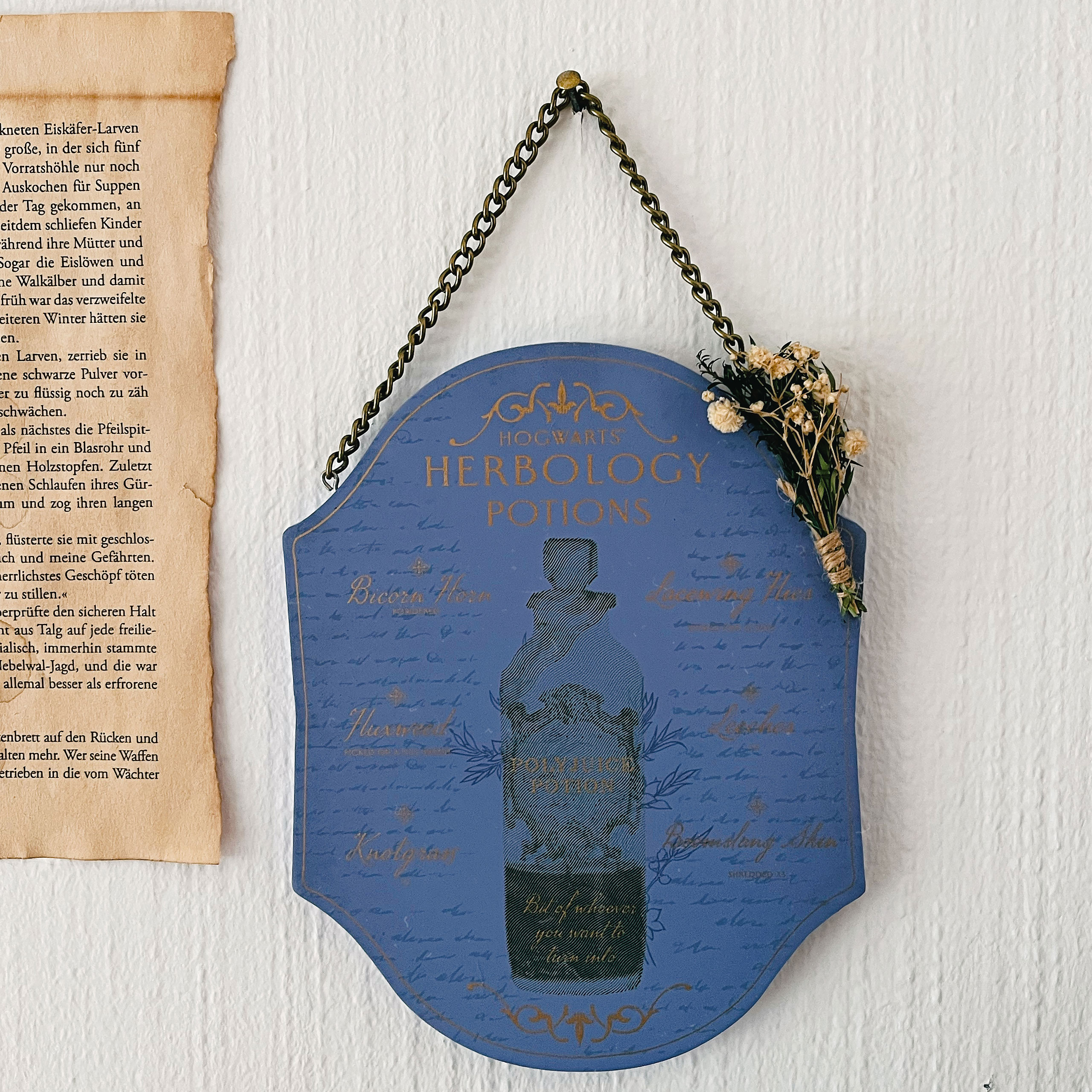 Harry Potter - Kräuterkunde und Zaubertränke Wandbild Holz