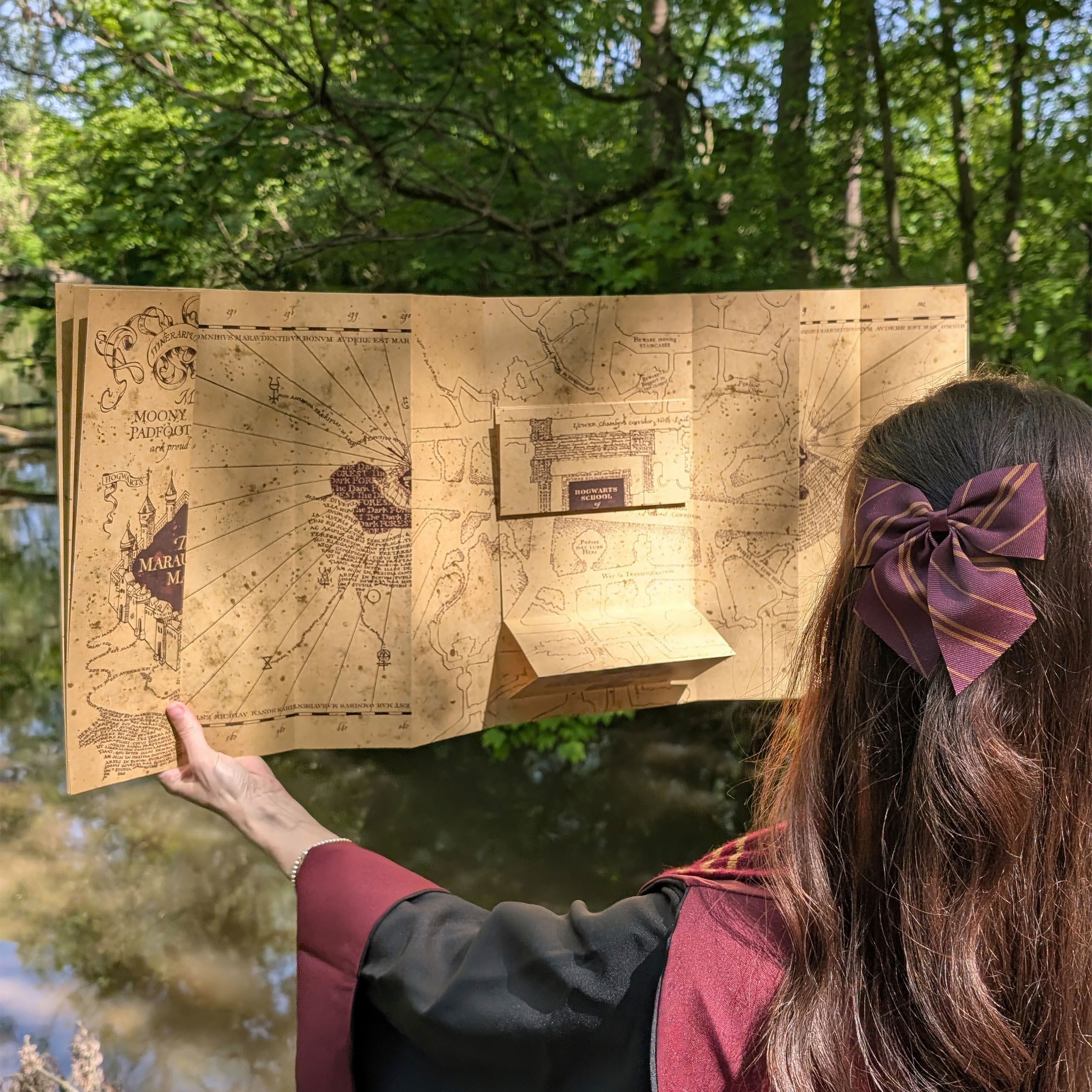 La Carte du Maraudeur