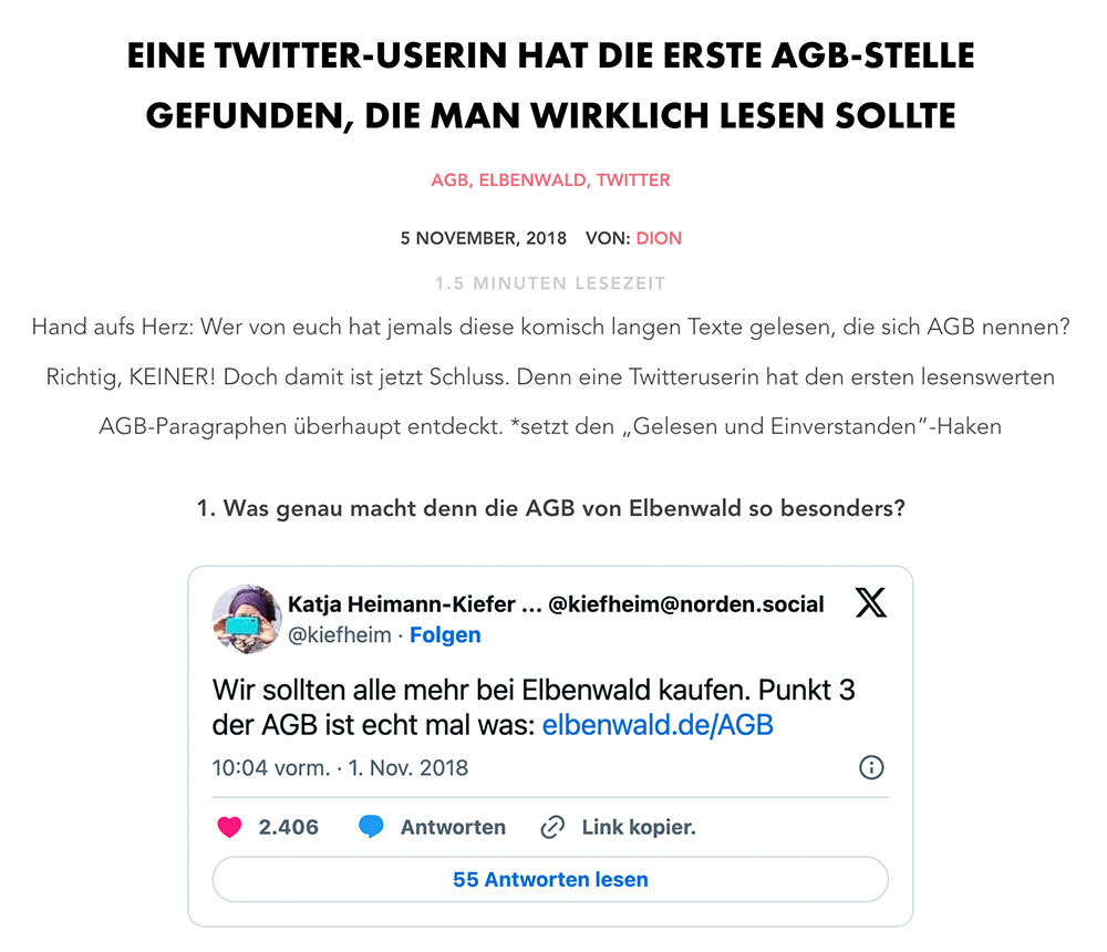 www.thebestsocial.media Screenshot: AGB, die man wirklich lesen sollte