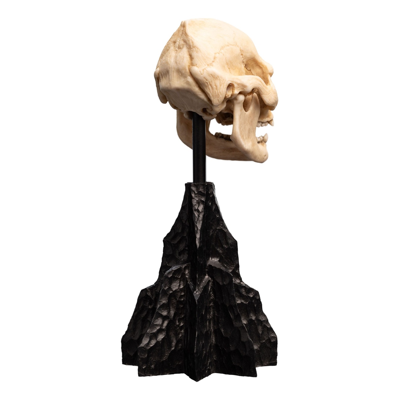 Le Seigneur des Anneaux - Mini statuette Crâne de Lurtz