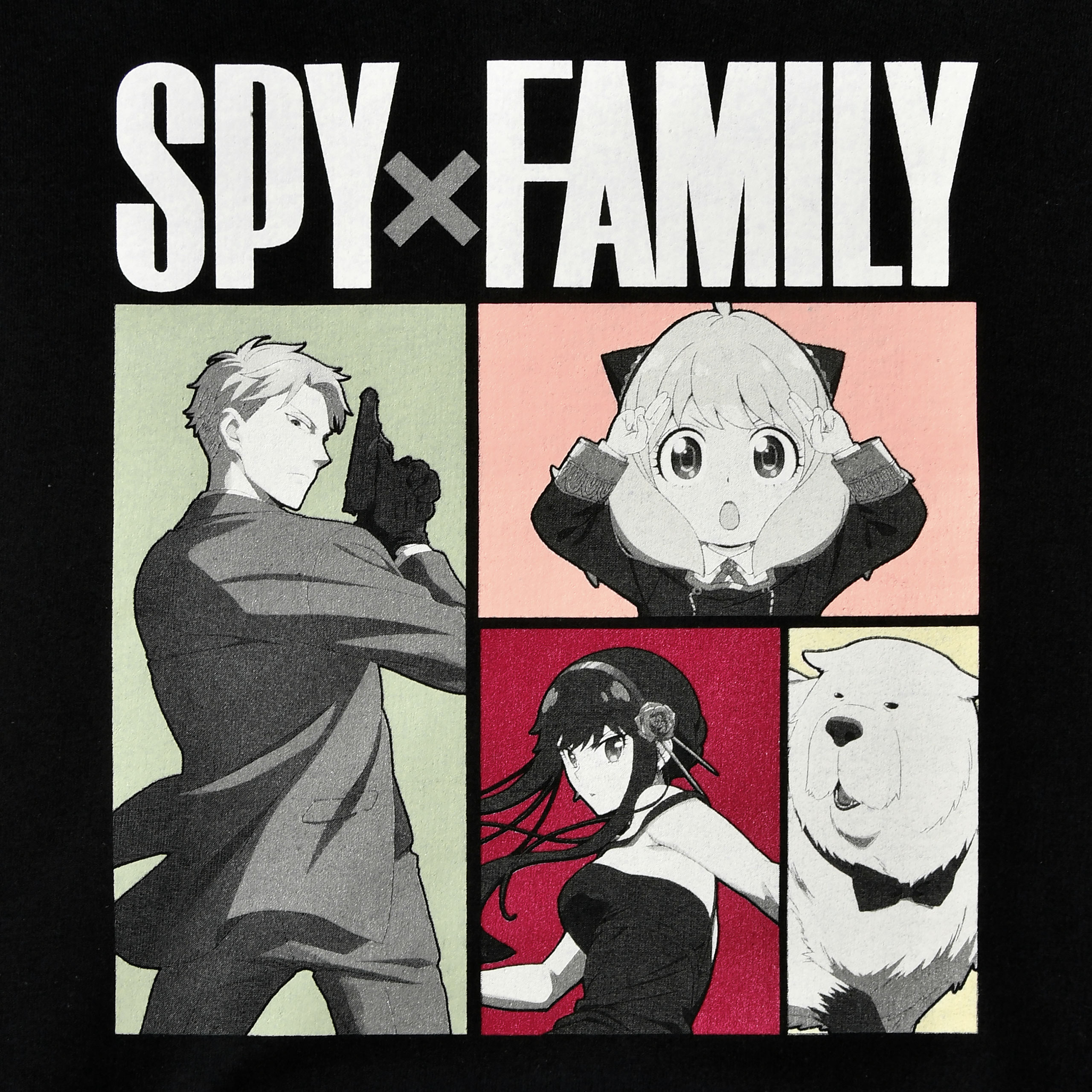Spy x Family - Family Forger Hoodie