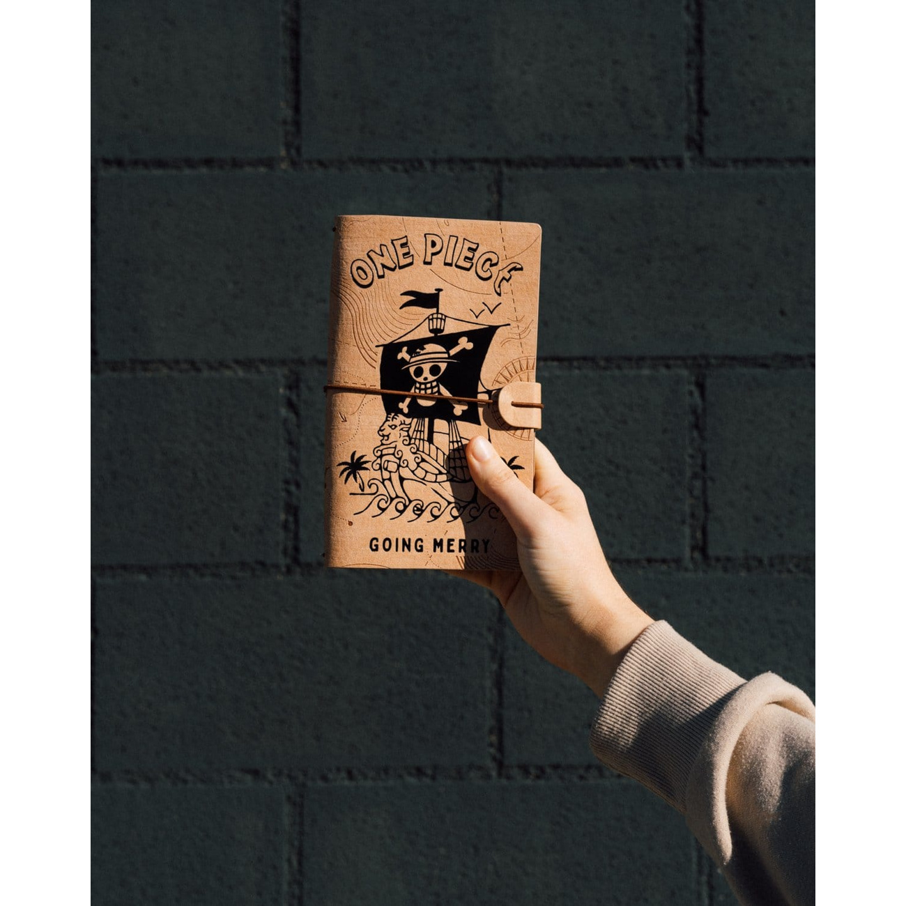 Diario de viaje One Piece 20 cm