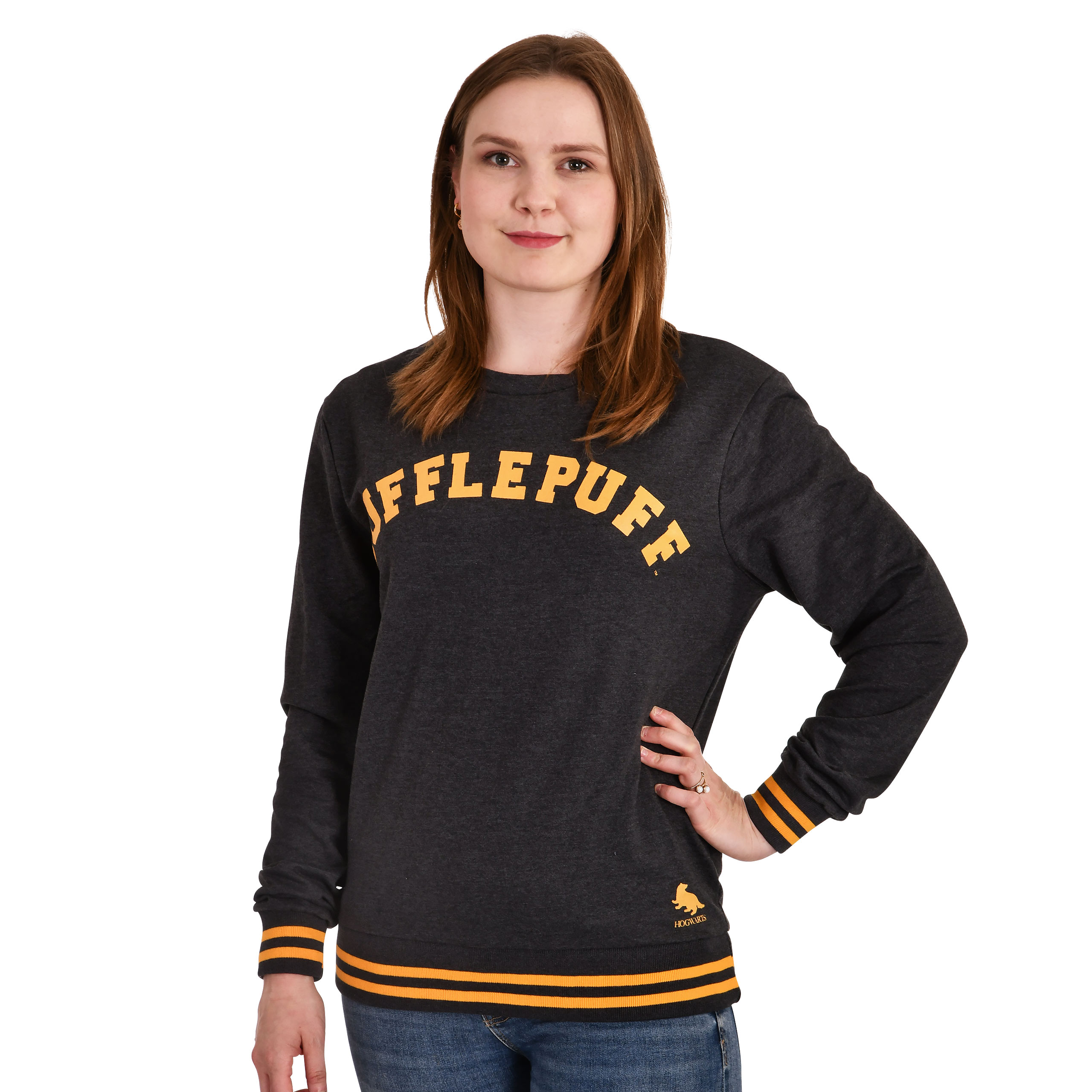 Harry Potter - Hufflepuff College Sweater grau