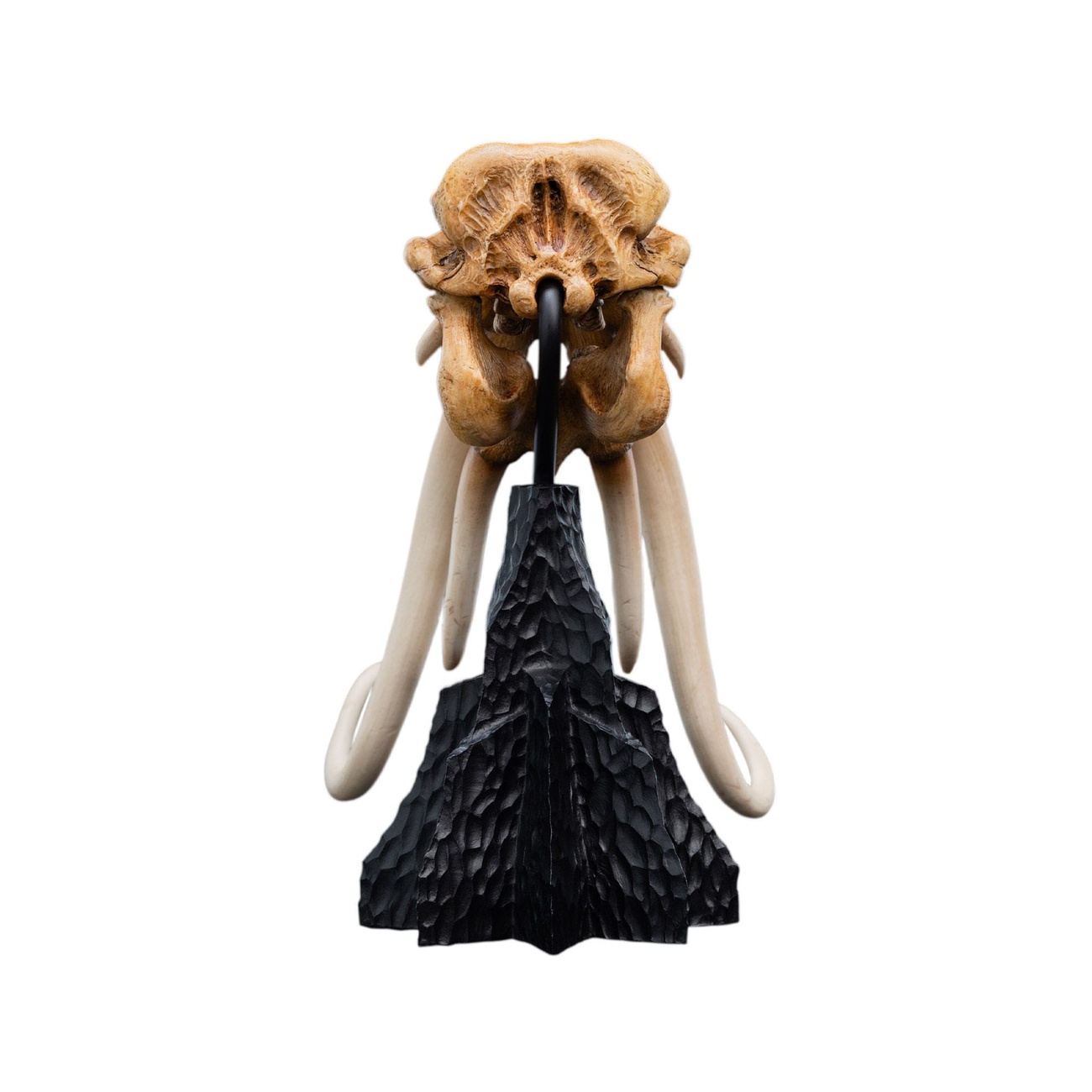 Le Seigneur des Anneaux - Crâne de Mumak Mini Statue