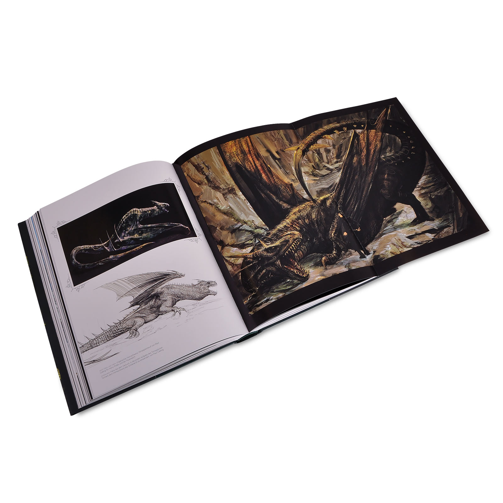 The Art of Harry Potter - The Big Harry Potter Book