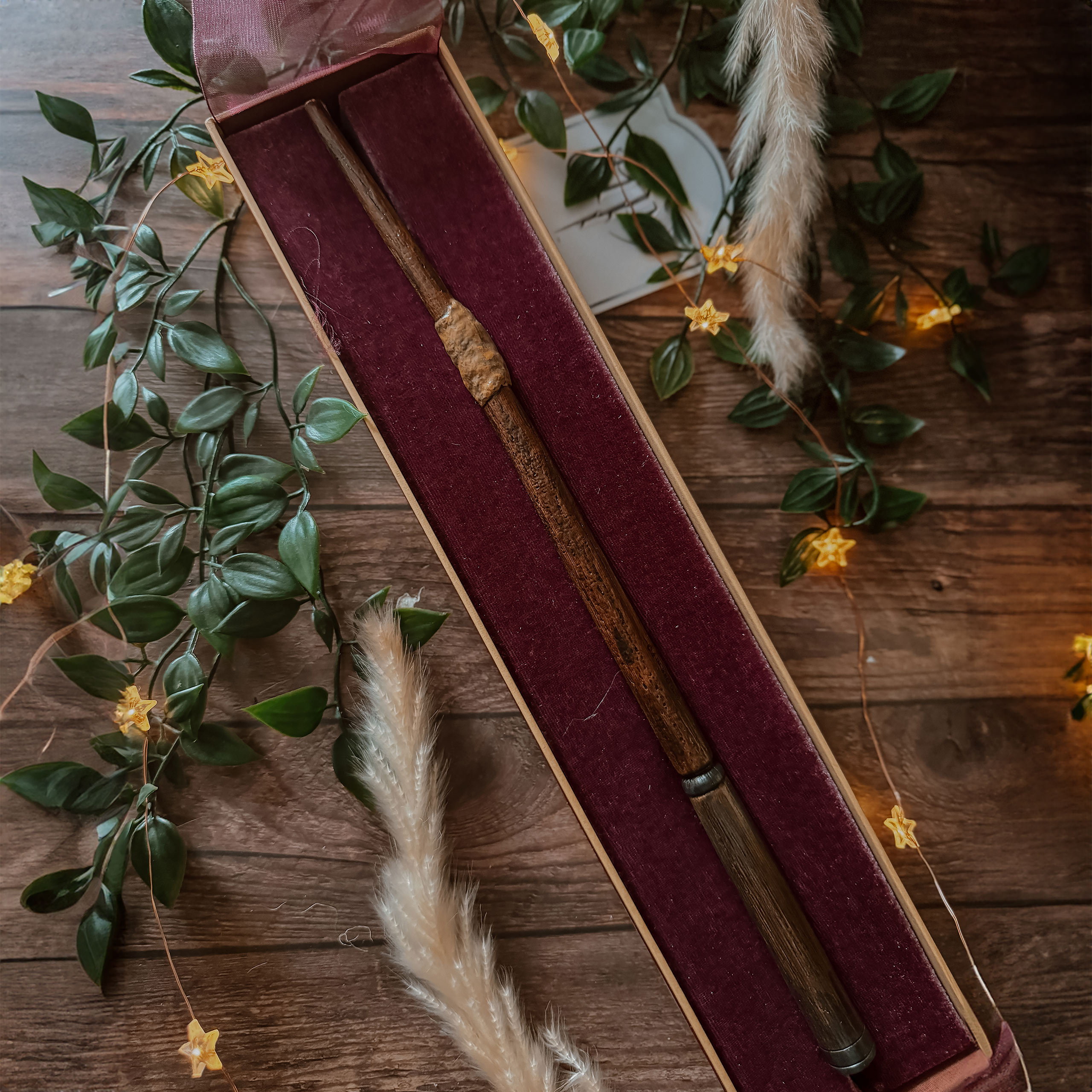 Ron Wemels Eerste Toverstok - Harry Potter First Wands Collection