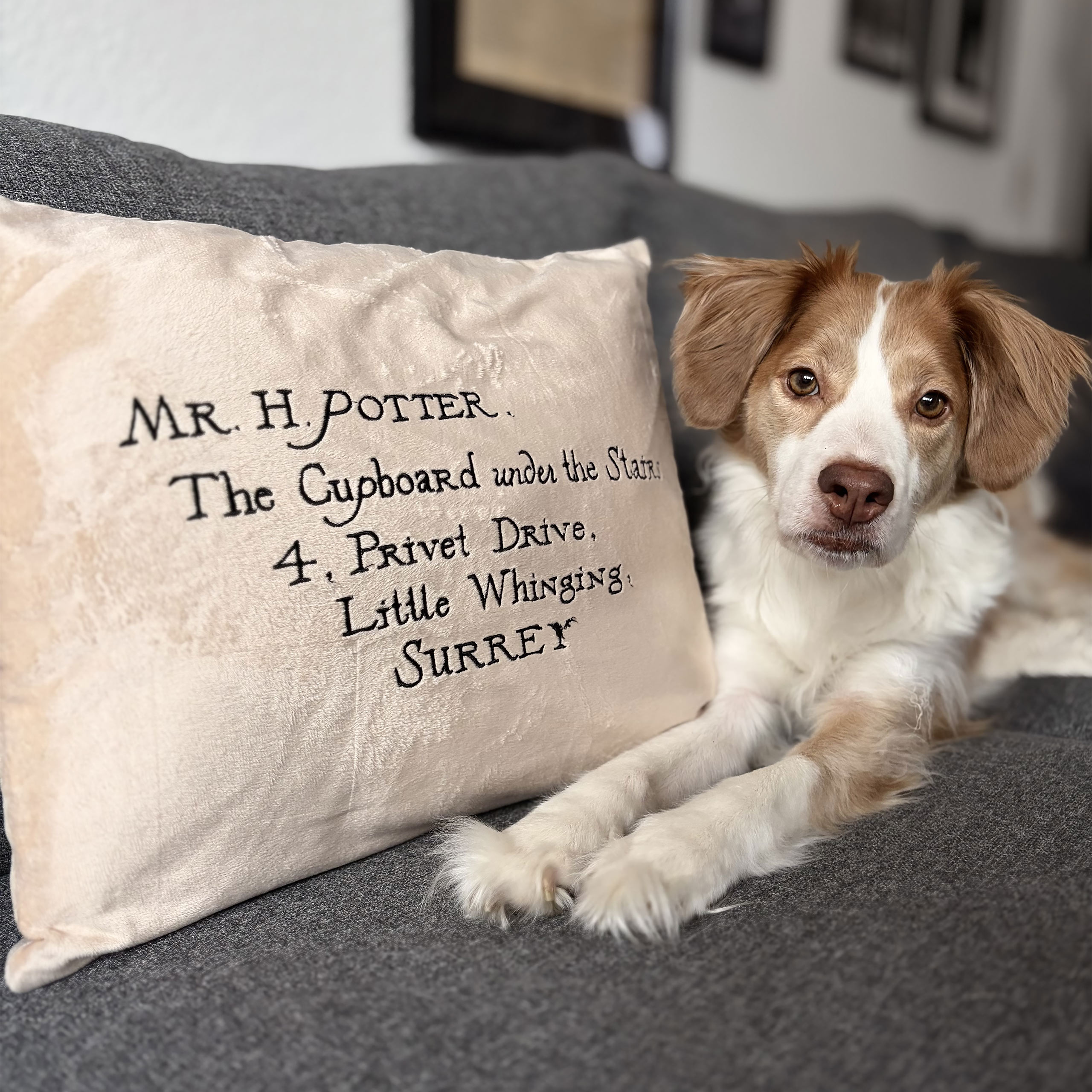 Harry Potter - Cuscino Lettera di Hogwarts
