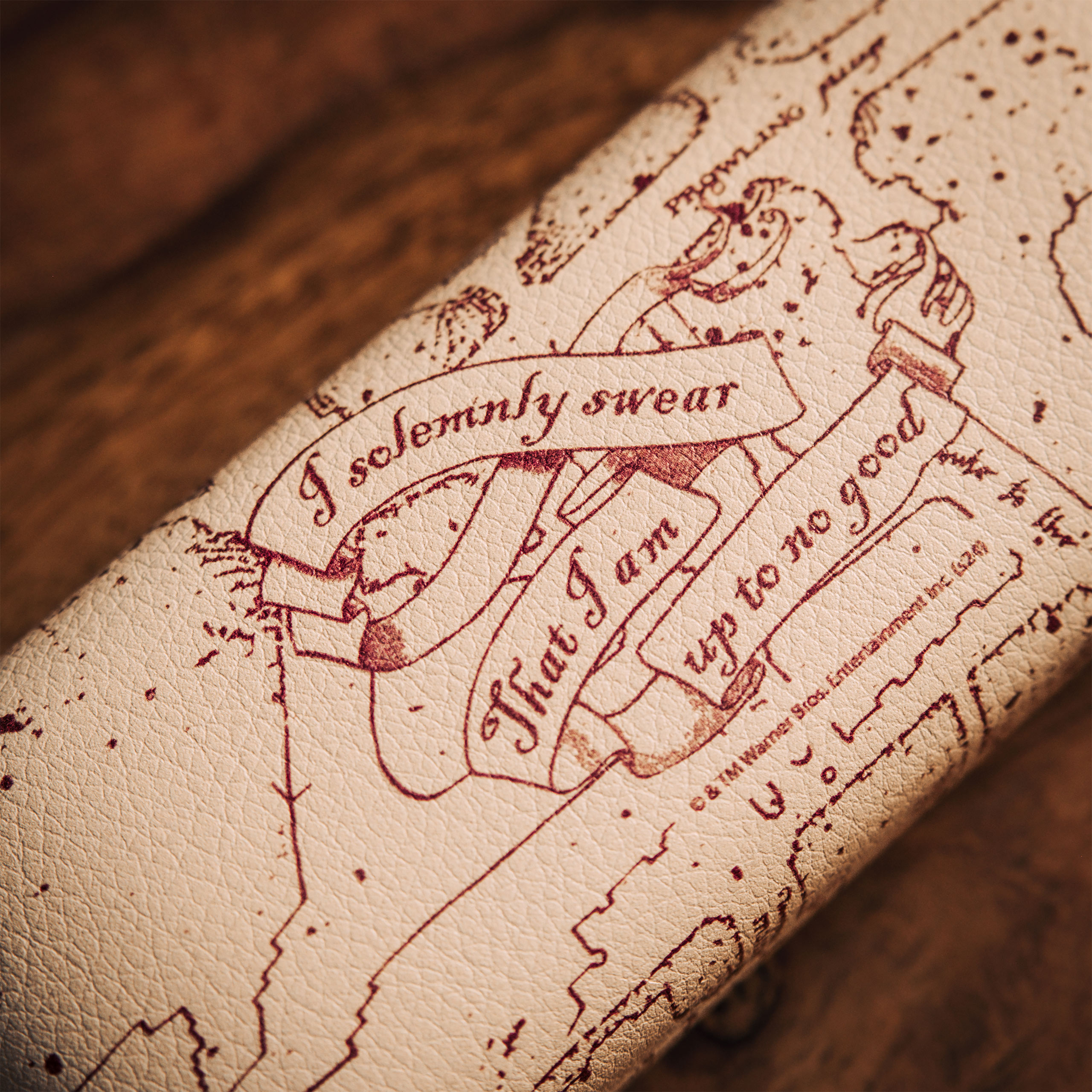 Harry Potter - Marauder's Map Glasses Case