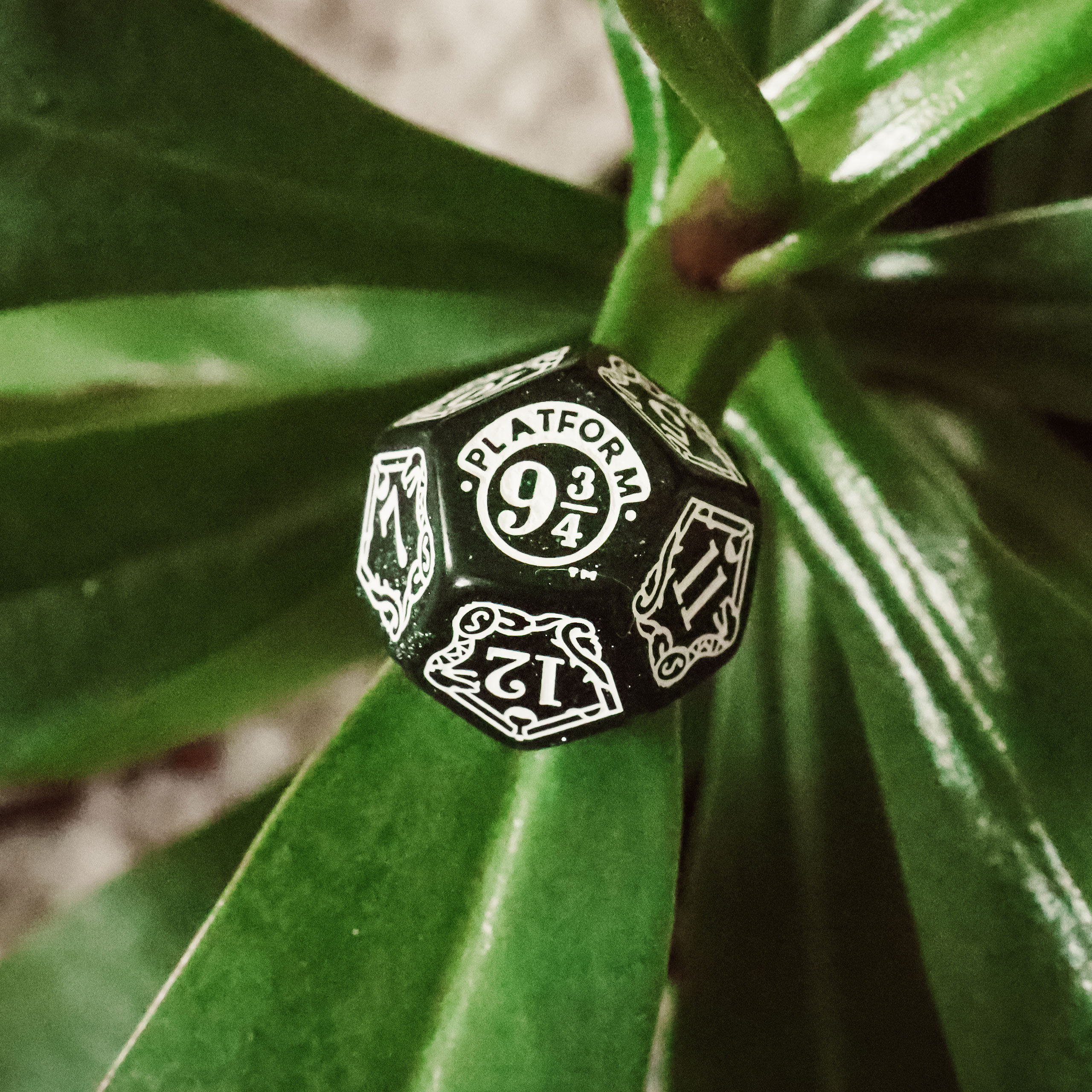 Harry Potter: Slytherin Dice Set - White – Awesome Dice