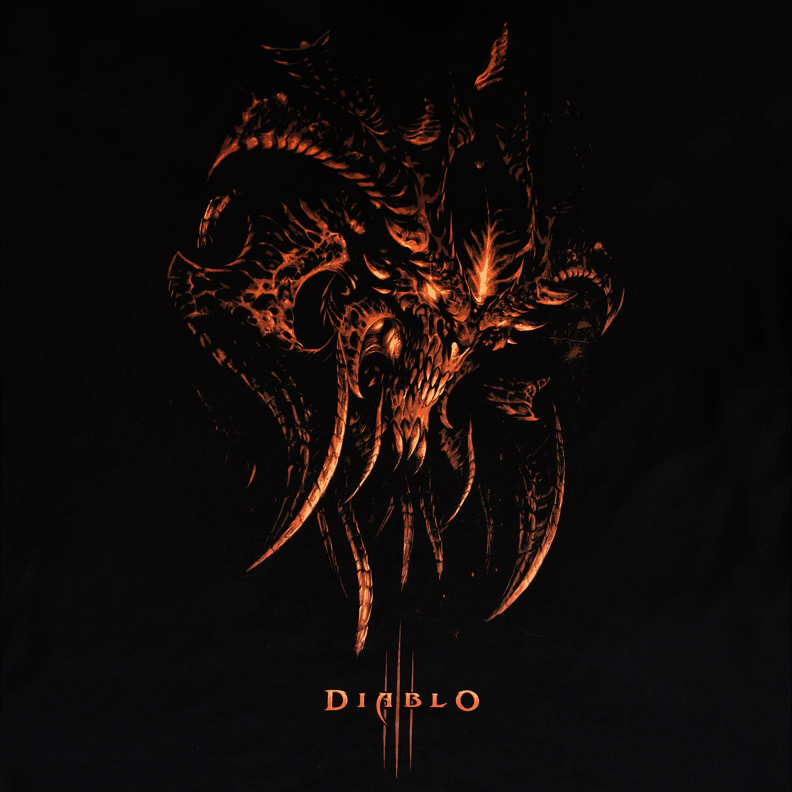 Diablo - Lord of Terror T-Shirt schwarz