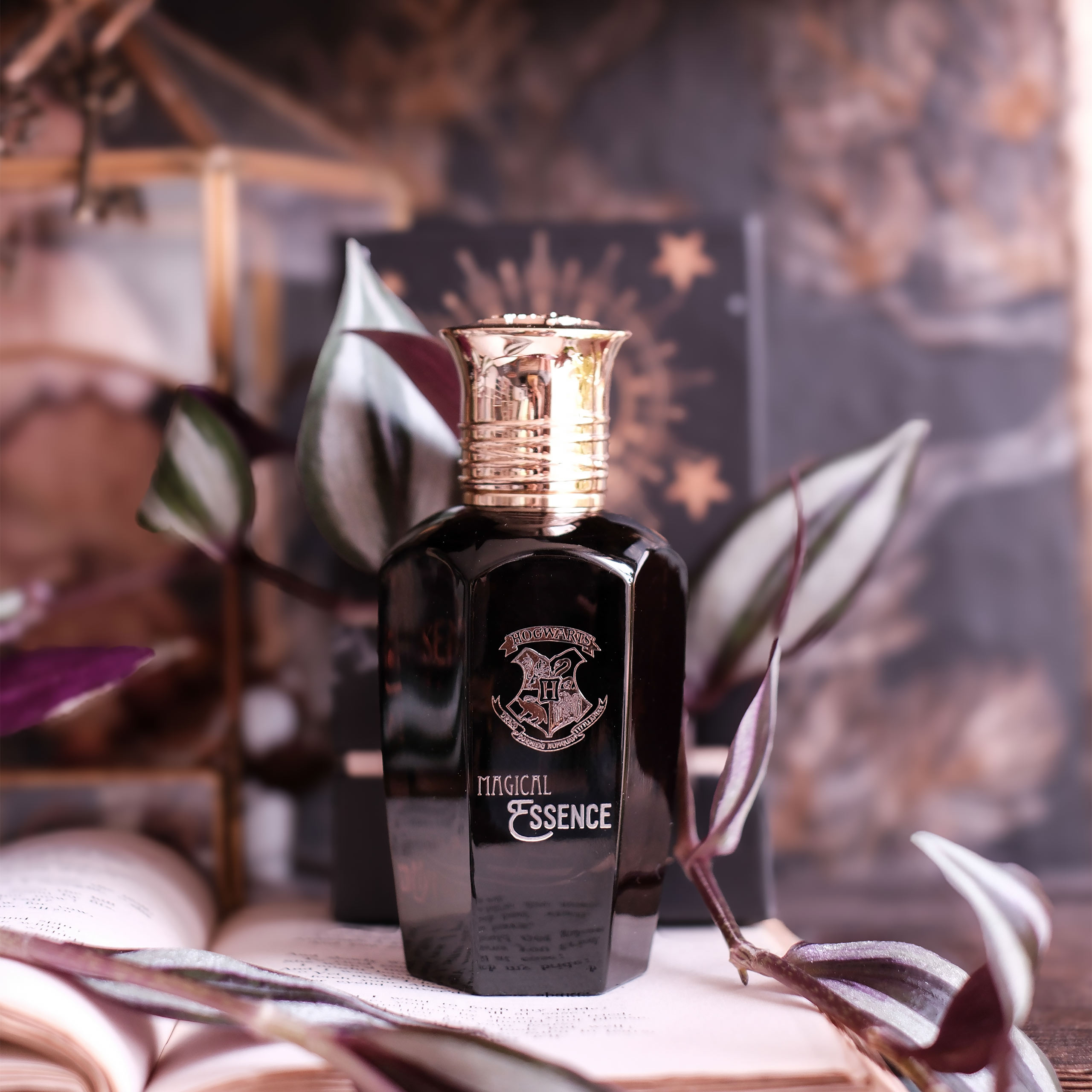 Harry Potter - Magical Essence Ambiton Eau de Parfum