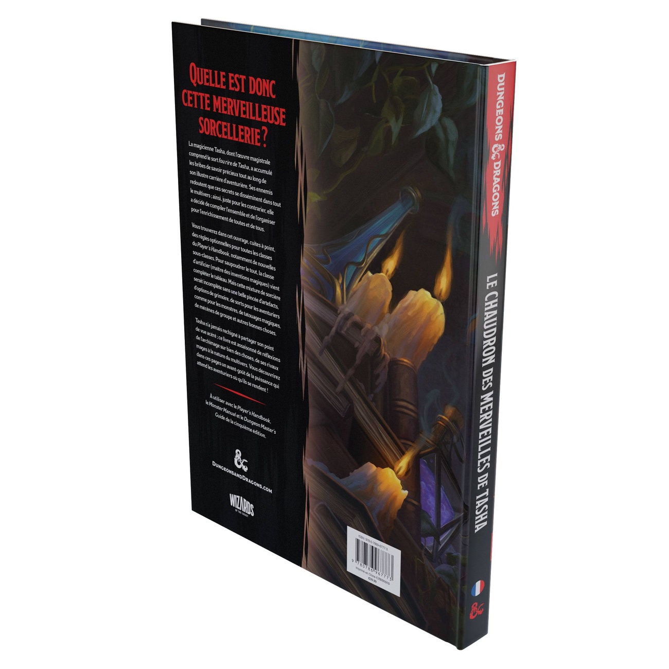 Dungeons & Dragons RPG Kocioł Cudów Tashy wydanie francuskie