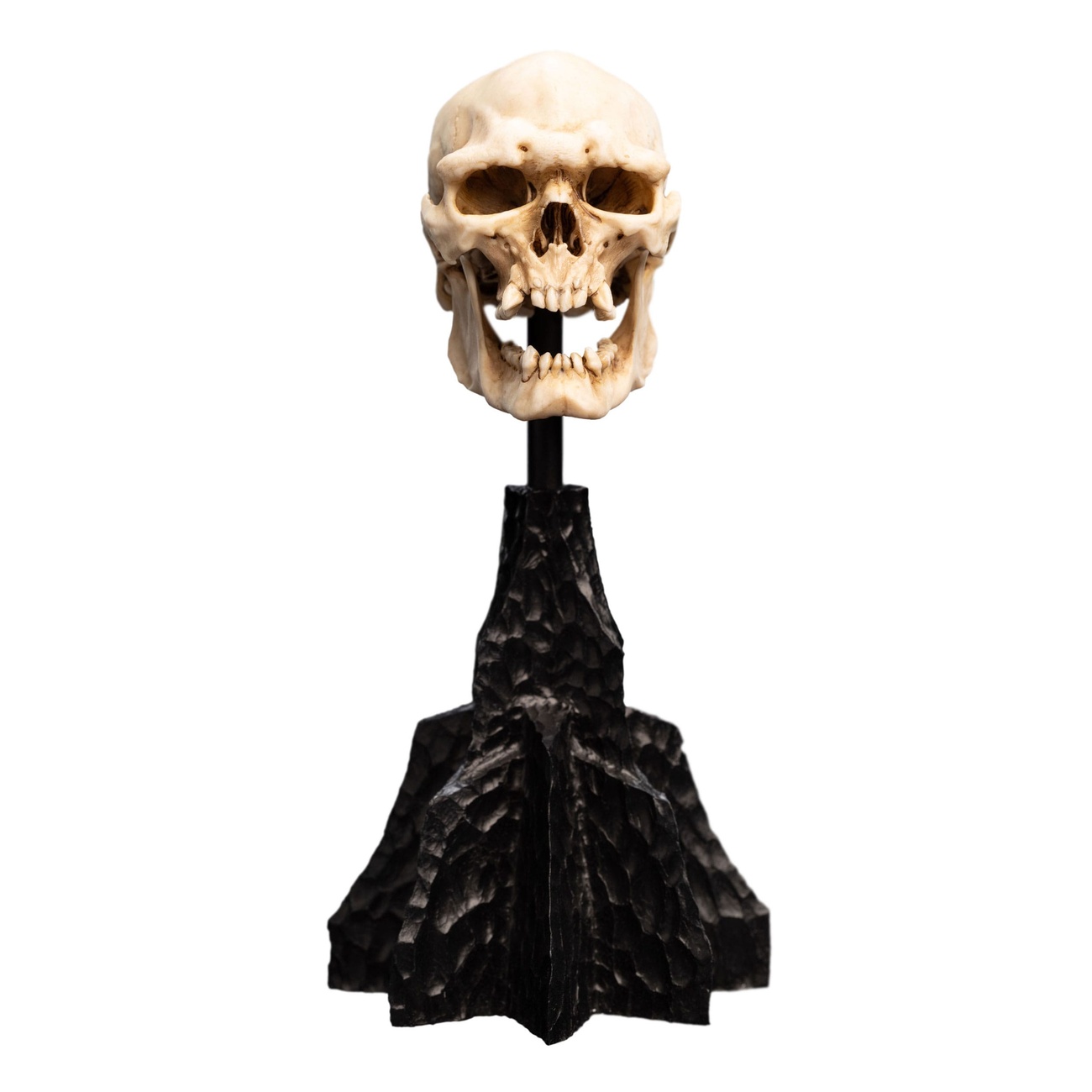 Der Herr der Ringe - Skull of a Mordor Orc Mini Statue