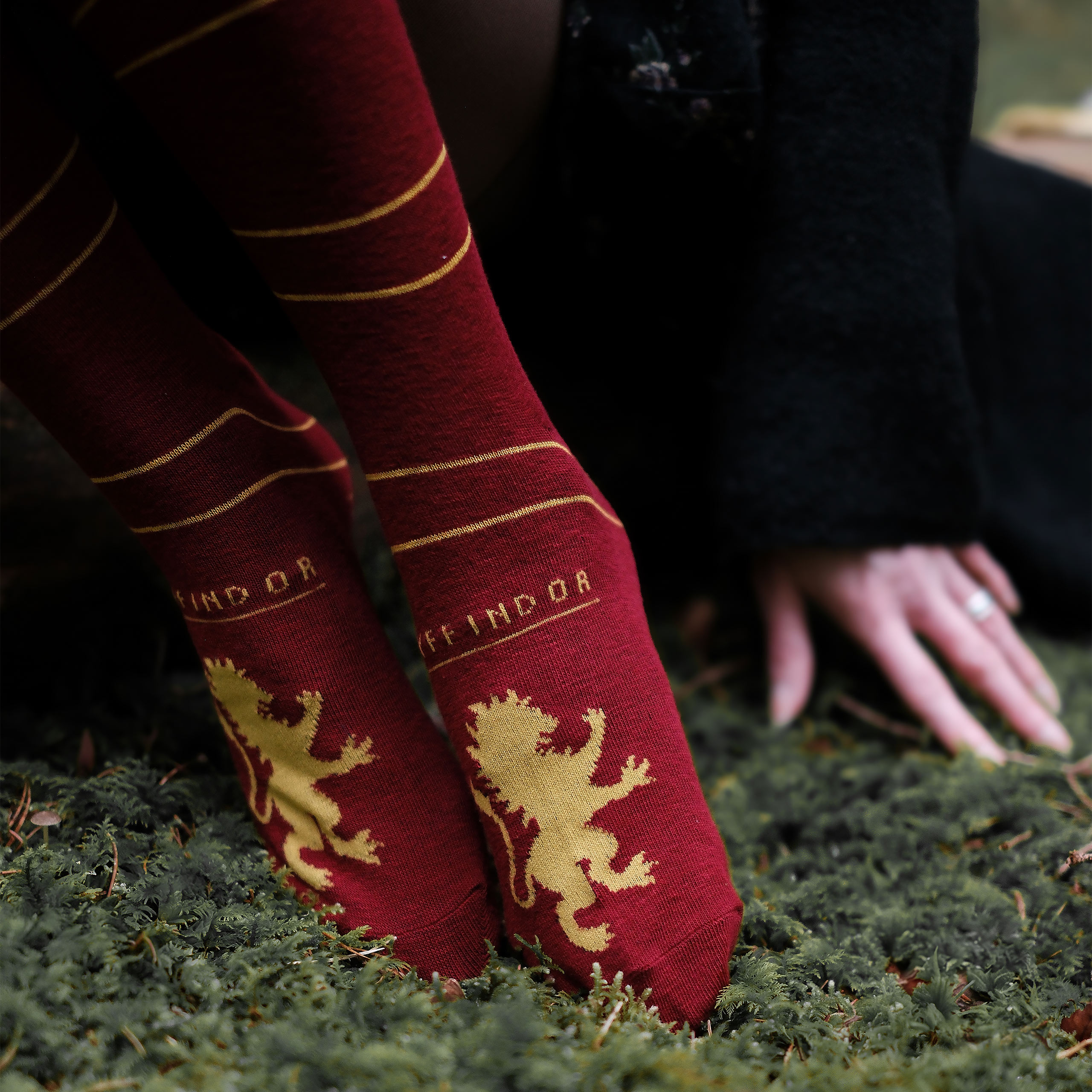 Harry Potter - Gryffindor Overknee Socks 2-Pack