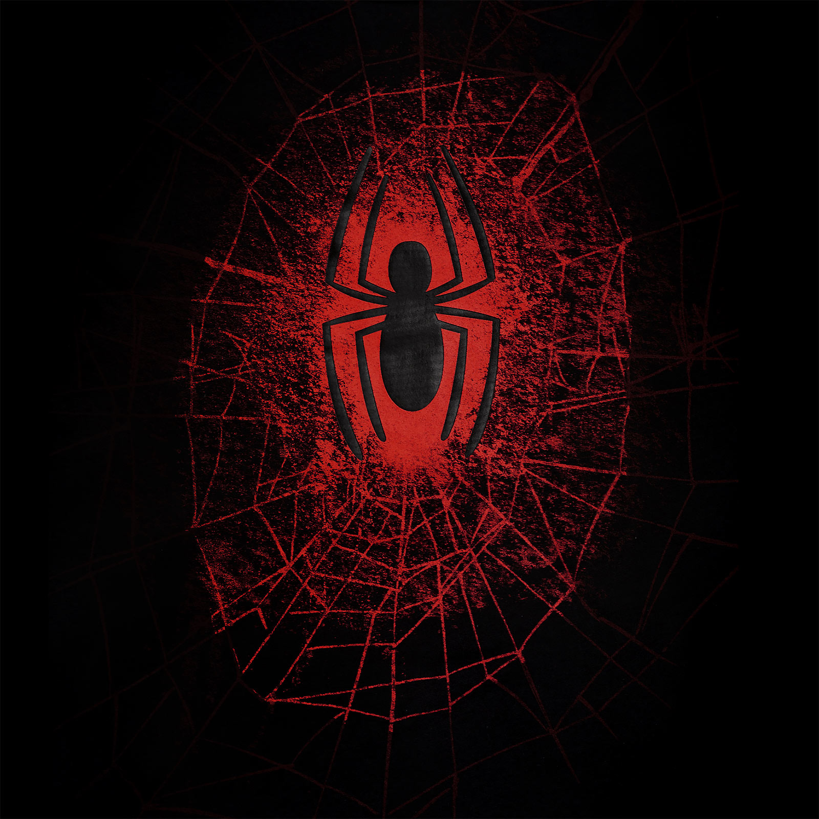 Spider-Man - Spider Web T-Shirt black