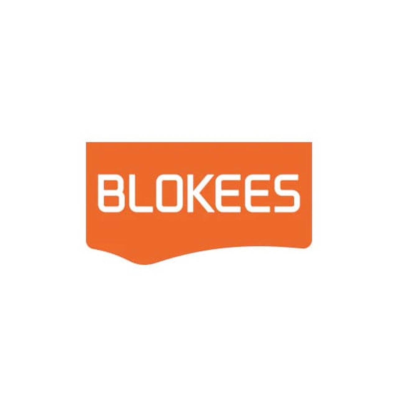 Transformers Blokees Modello in plastica Classic Class 13 Elita