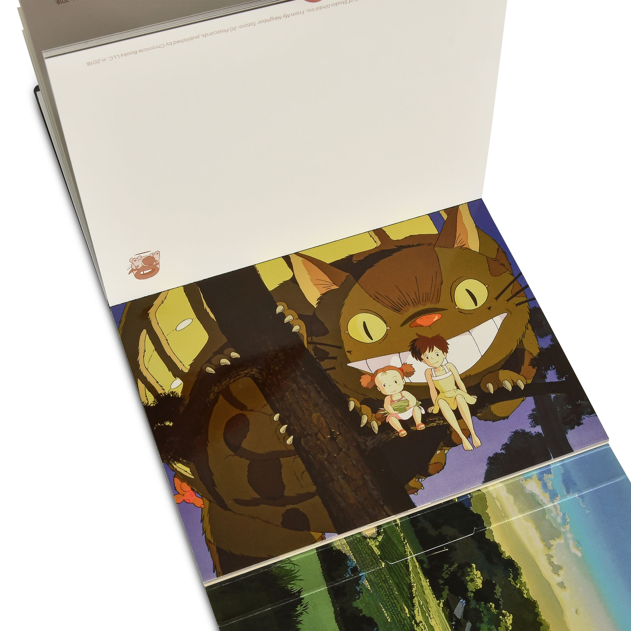 Totoro - Set di 30 cartoline