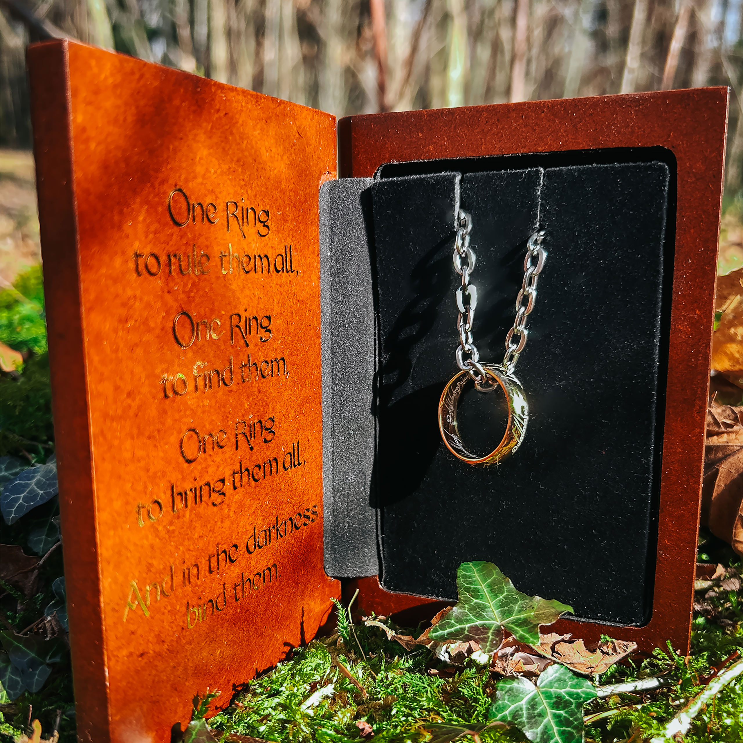 In de Ban van de Ring - De Ene Ring - Het Origineel