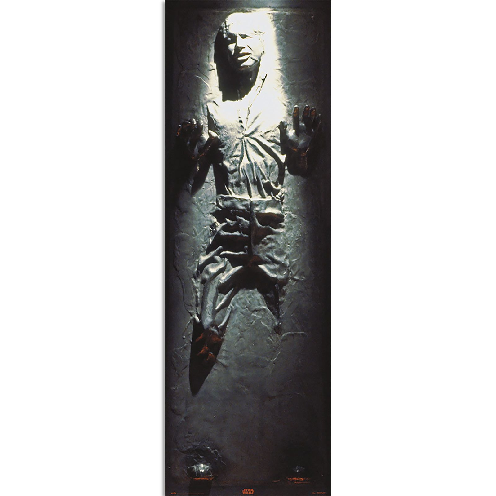 <b>Star</b> <b>Wars</b> - Han Solo in <b>Carbonite</b> Türposter.