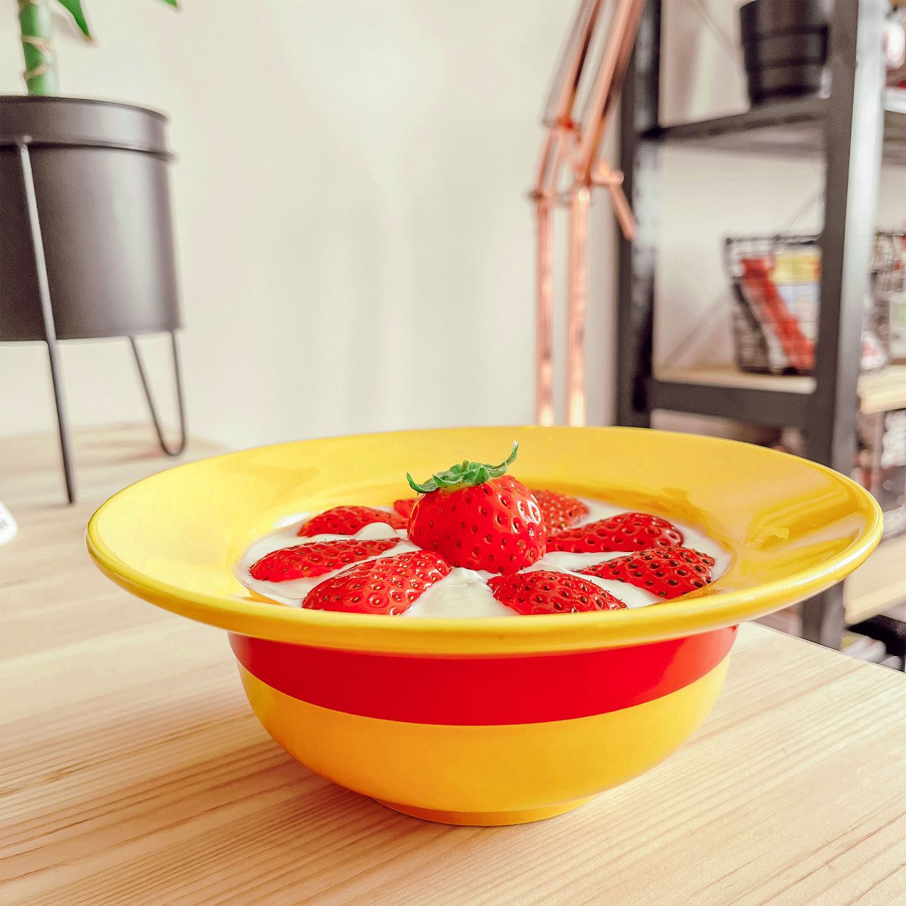 Set De 4 Bols En Porcelaine Style Bohème - 600ml - Pour Salades, Céréales, Fruits - Micro-ondes Et Lave-Vaisselle