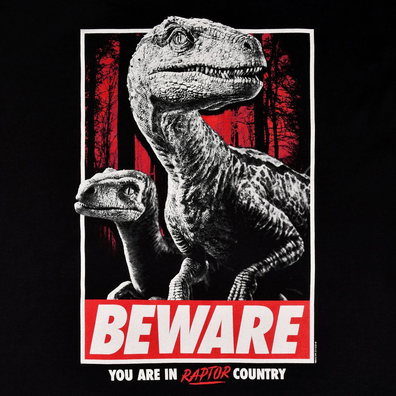 Jurassic Park - Beware Raptor Country T-Shirt schwarz | Elbenwald